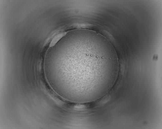 X0000112980357200909031114