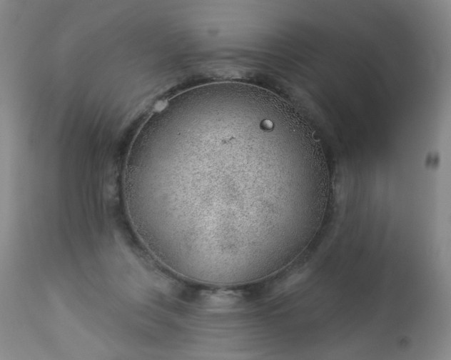 X0000112980359200909031114