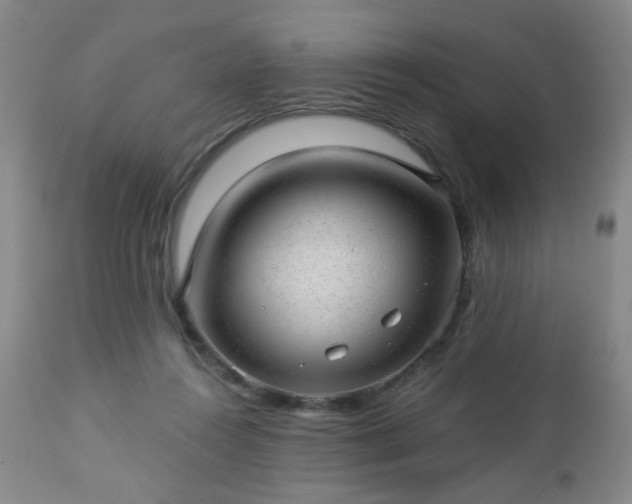 X0000112980360200909031114