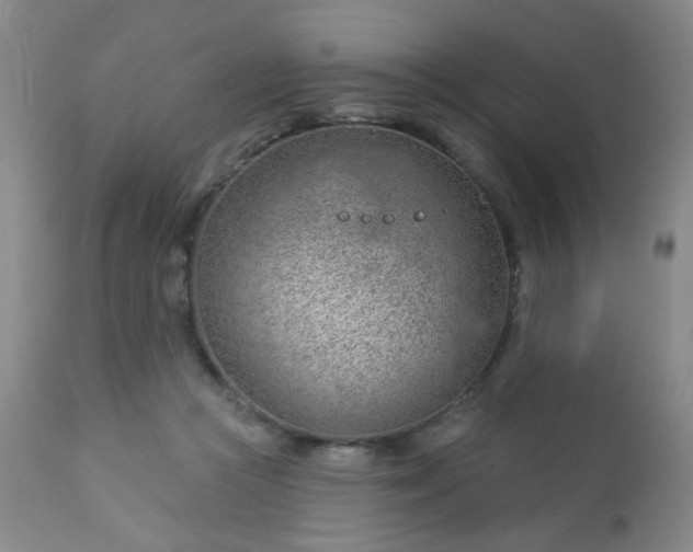 X0000112980361200909031114