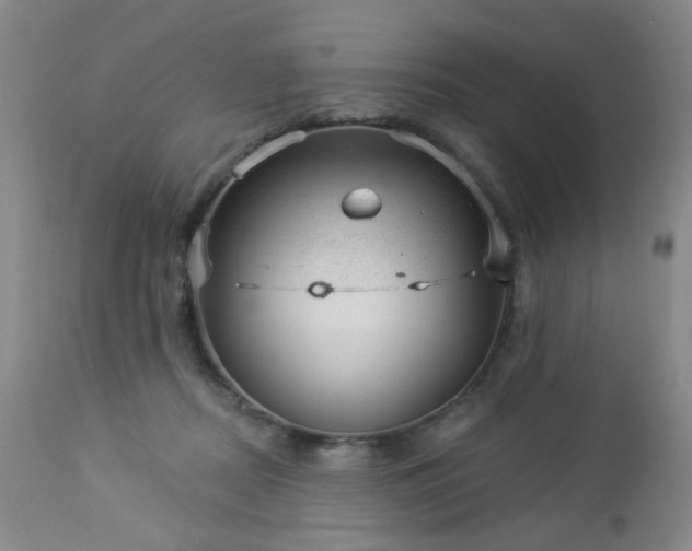 X0000112980362200909031114