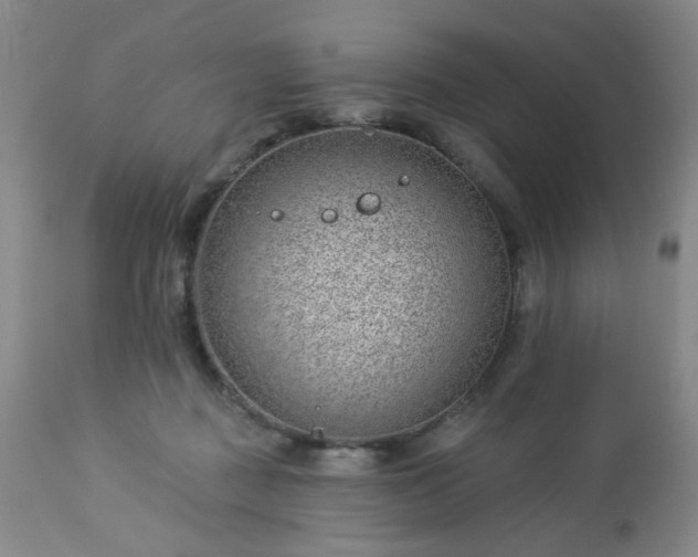 X0000112980363200909031114