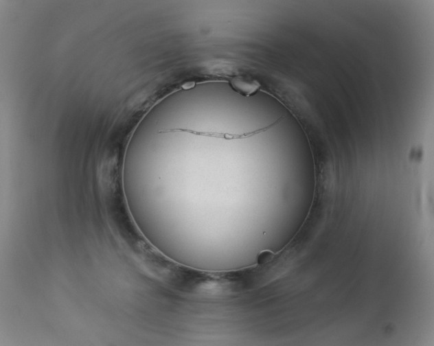 X0000112980364200909031114