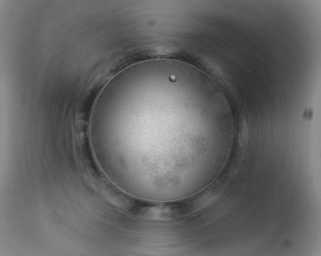 X0000112980366200909031114