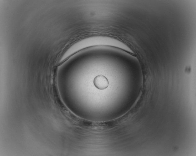 X0000112980368200909031114