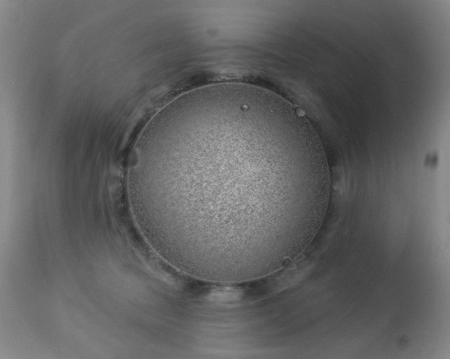 X0000112980369200909031114