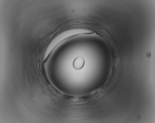 X0000112980372200909031114