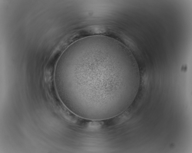 X0000112980373200909031114