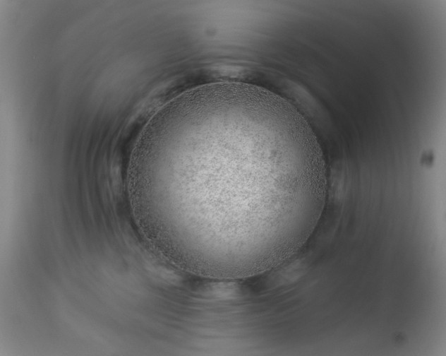 X0000112980377200909031114