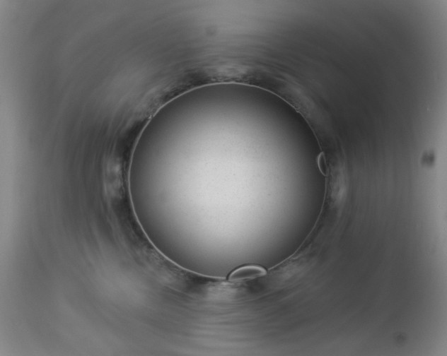 X0000112980378200909031114