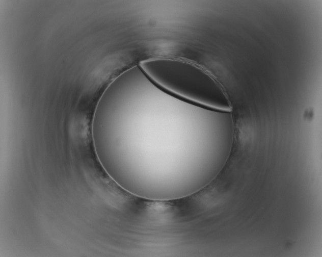 X0000112980380200909031114