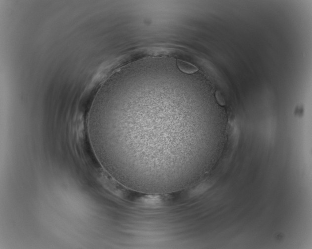 X0000112980381200909031114