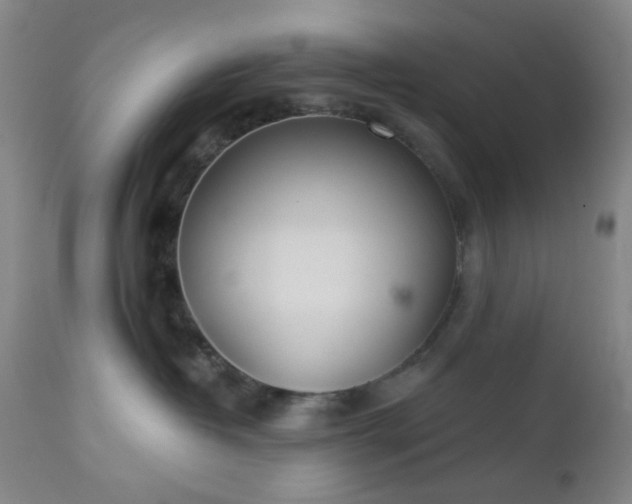 X0000112980382200909031114