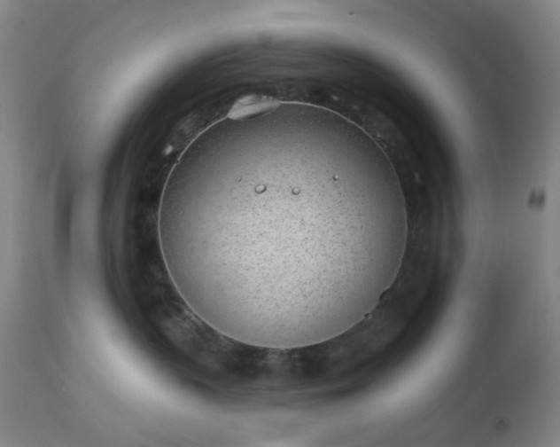 X0000112980383200909031114