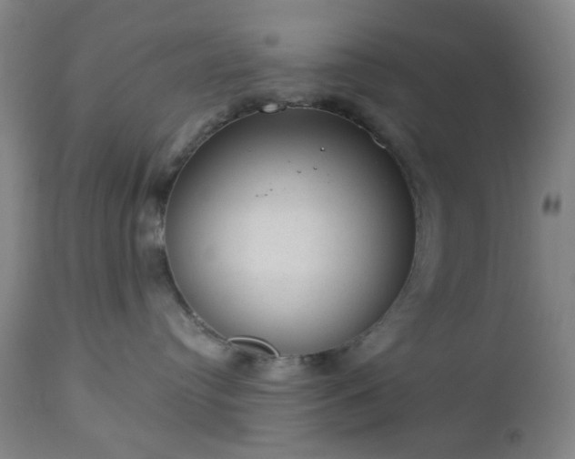 X0000112980384200909031114