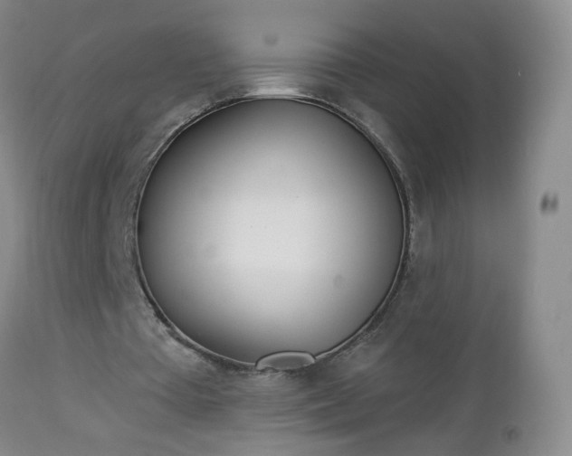 X0000112980385200909031114