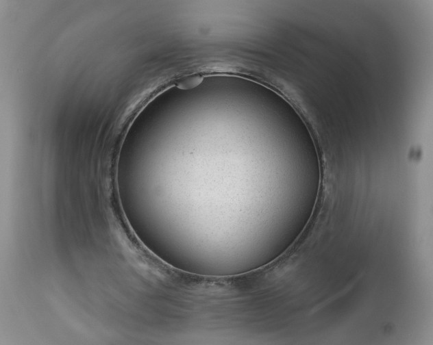 X0000112980386200909031114