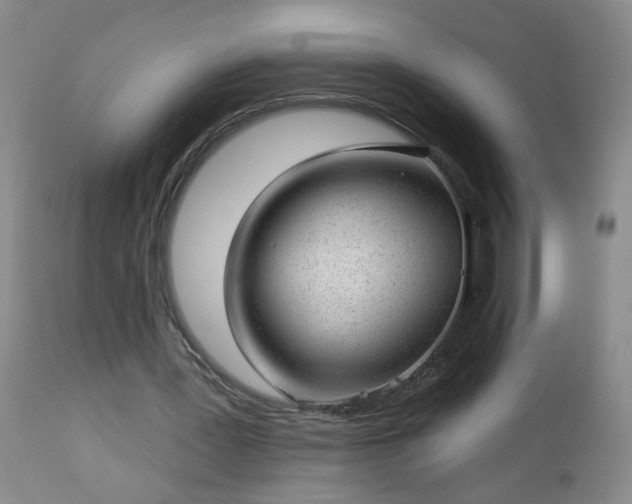 X0000112980387200909031114