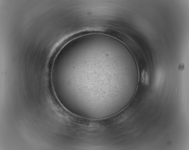 X0000112980388200909031114