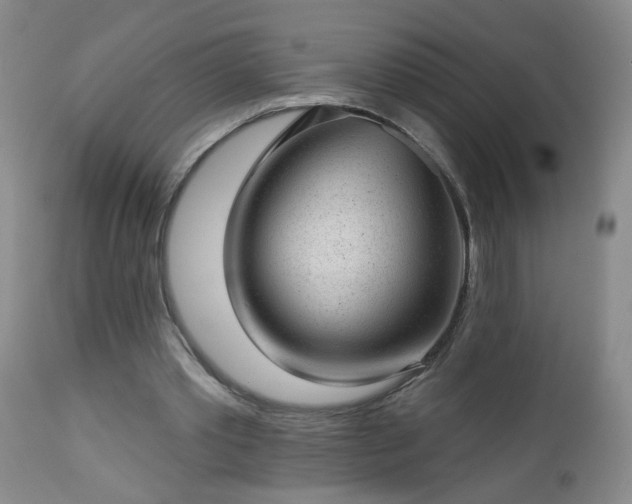 X0000112980389200909031114