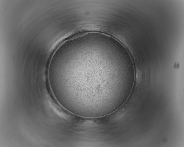 X0000112980390200909031114