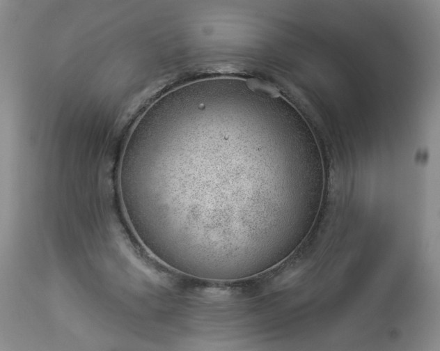 X0000112980394200909031114