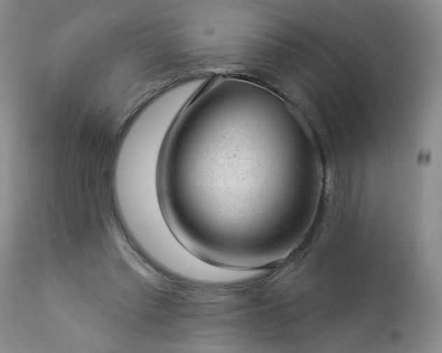 X0000112980397200909031114