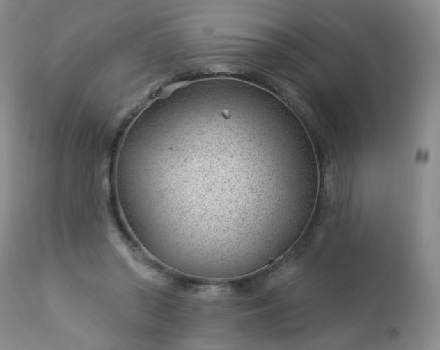 X0000112980398200909031114