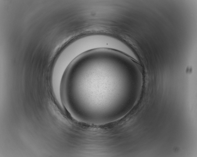 X0000112980399200909031114