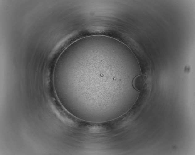 X0000112980400200909031113