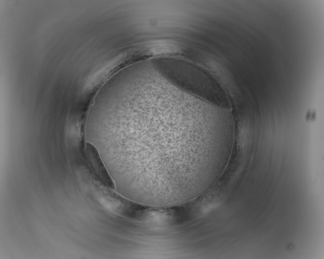 X0000112980405200909031113