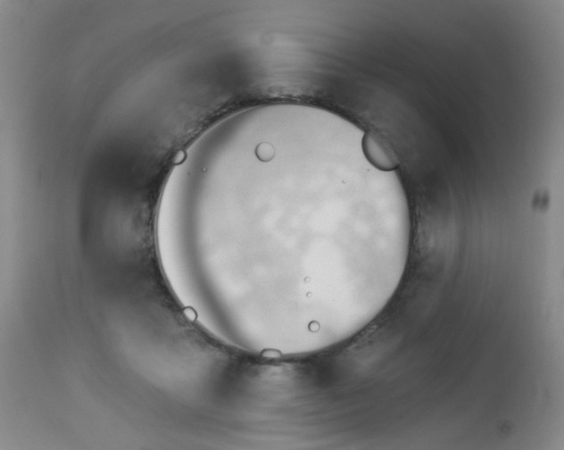 X0000112980411200909031113