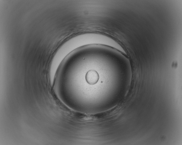 X0000112980415200909031113