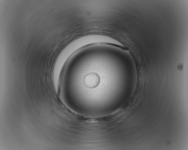 X0000112980419200909031113