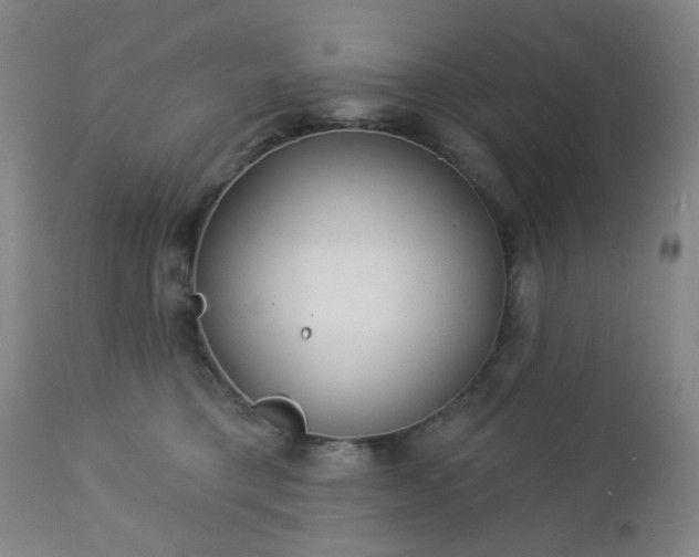 X0000112980421200909031113