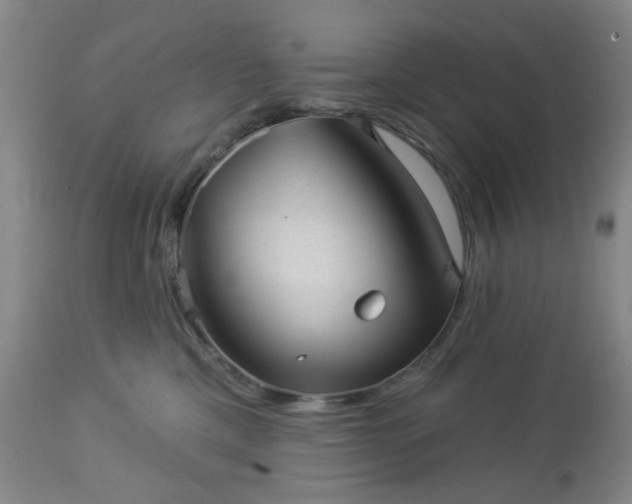 X0000112980425200909031113