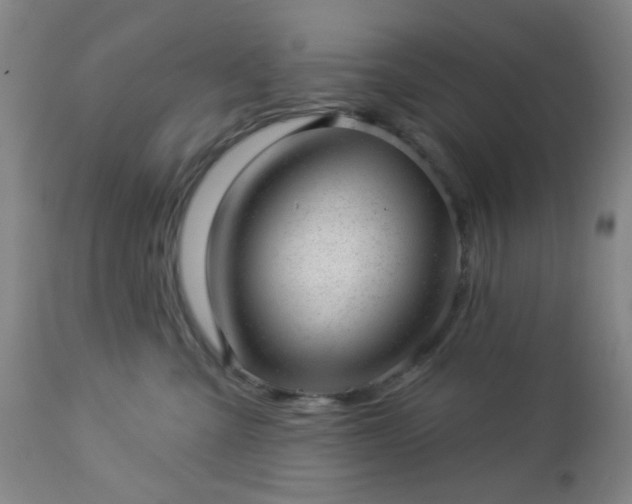 X0000112980427200909031113