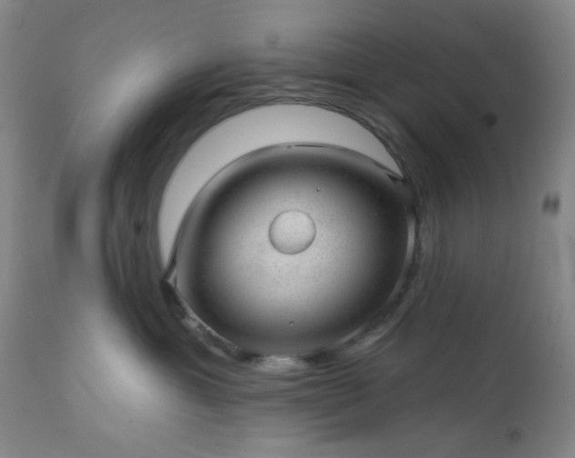 X0000112980429200909031113