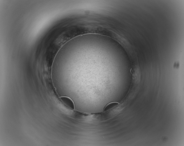 X0000112980430200909031113