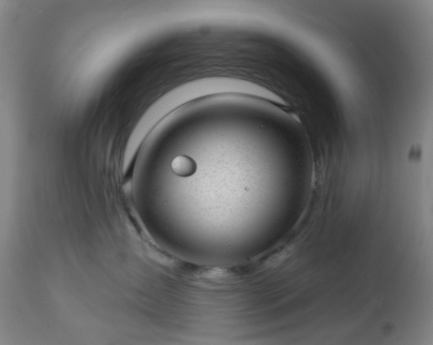 X0000112980431200909031113