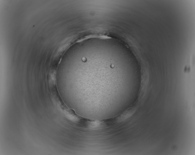 X0000112980432200909031113