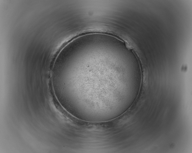 X0000112980434200909031112