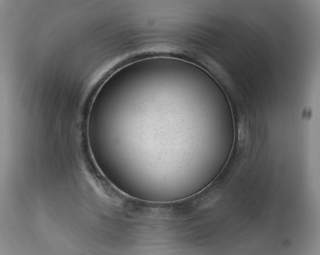 X0000112980436200909031112