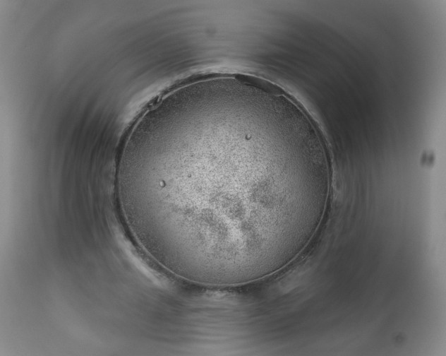 X0000112980437200909031112