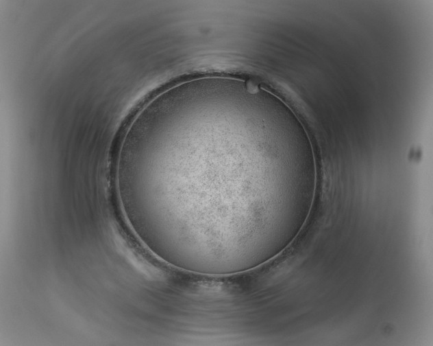 X0000112980439200909031112