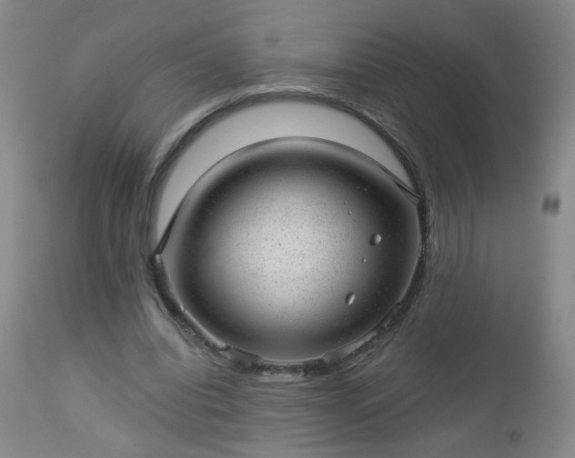 X0000112980440200909031112