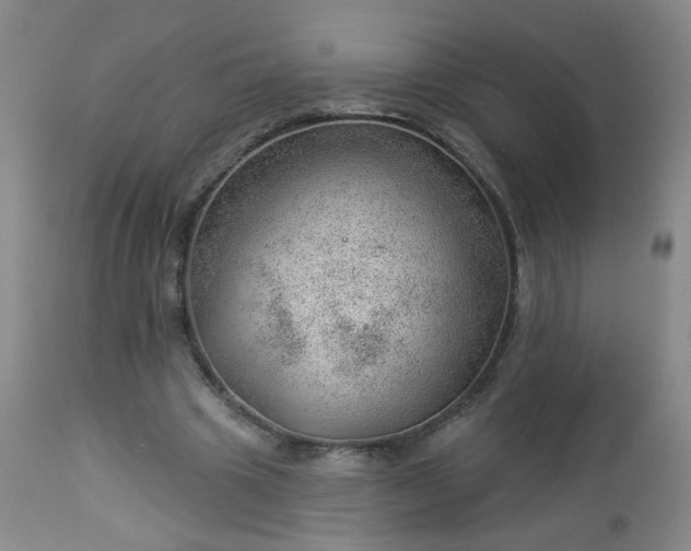 X0000112980441200909031112