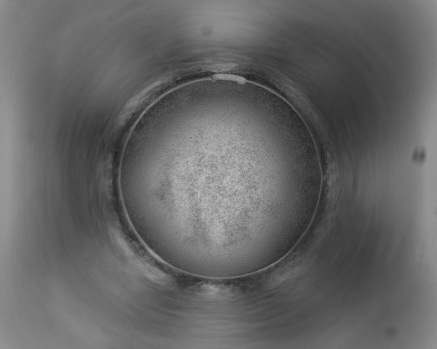 X0000112980442200909031113