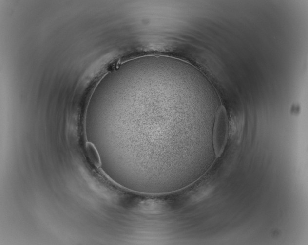 X0000112980444200909031113