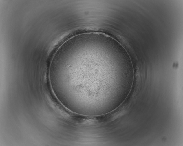 X0000112980446200909031113